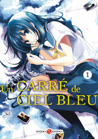 Couverture BD UN CARR&Eacute; DE CIEL BLEU