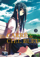 BD UN CARR&Eacute; DE CIEL BLEU