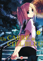 Couverture BD UN CARR&Eacute; DE CIEL BLEU